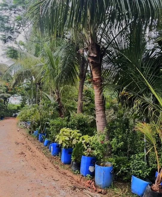 Swami Vivekanand Nursery
