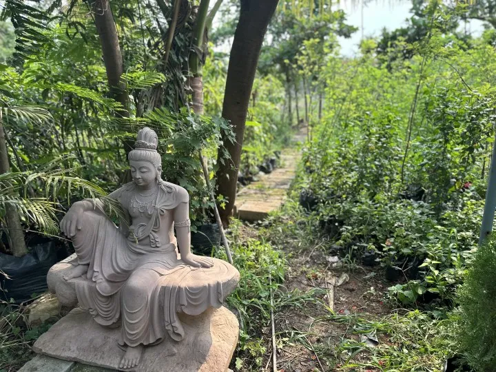 Swami Vivekanand Nursery